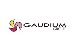 Gaudium Group