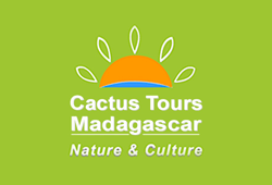 Cactus Tours Madagascar