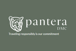 Pantera DMC