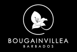 Bougainvillea Barbados