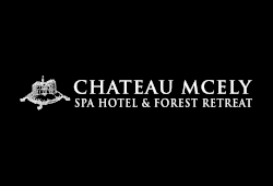 Chateau Mcely